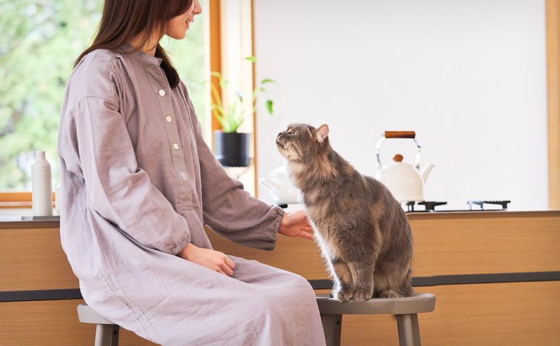 Products cat