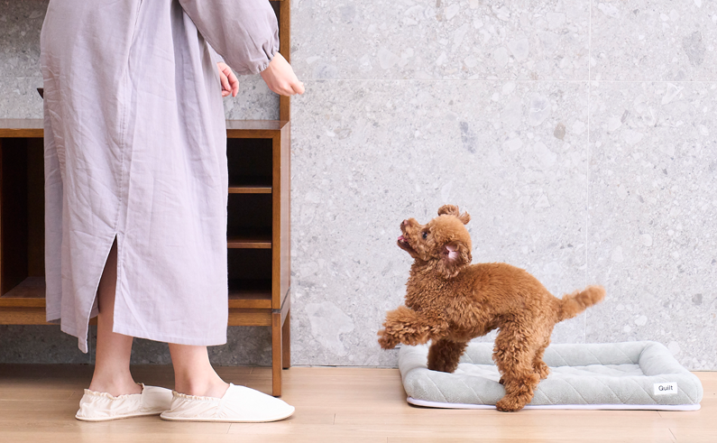 Products dog